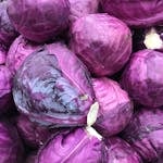 A close-up of stacked vibrant purple cabbages, perfect for vegetable market scene.