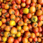 Sneak More Vegetables Into Meals: A vibrant pile of fresh, ripe tomatoes showcasing their vivid colors and natural texture.