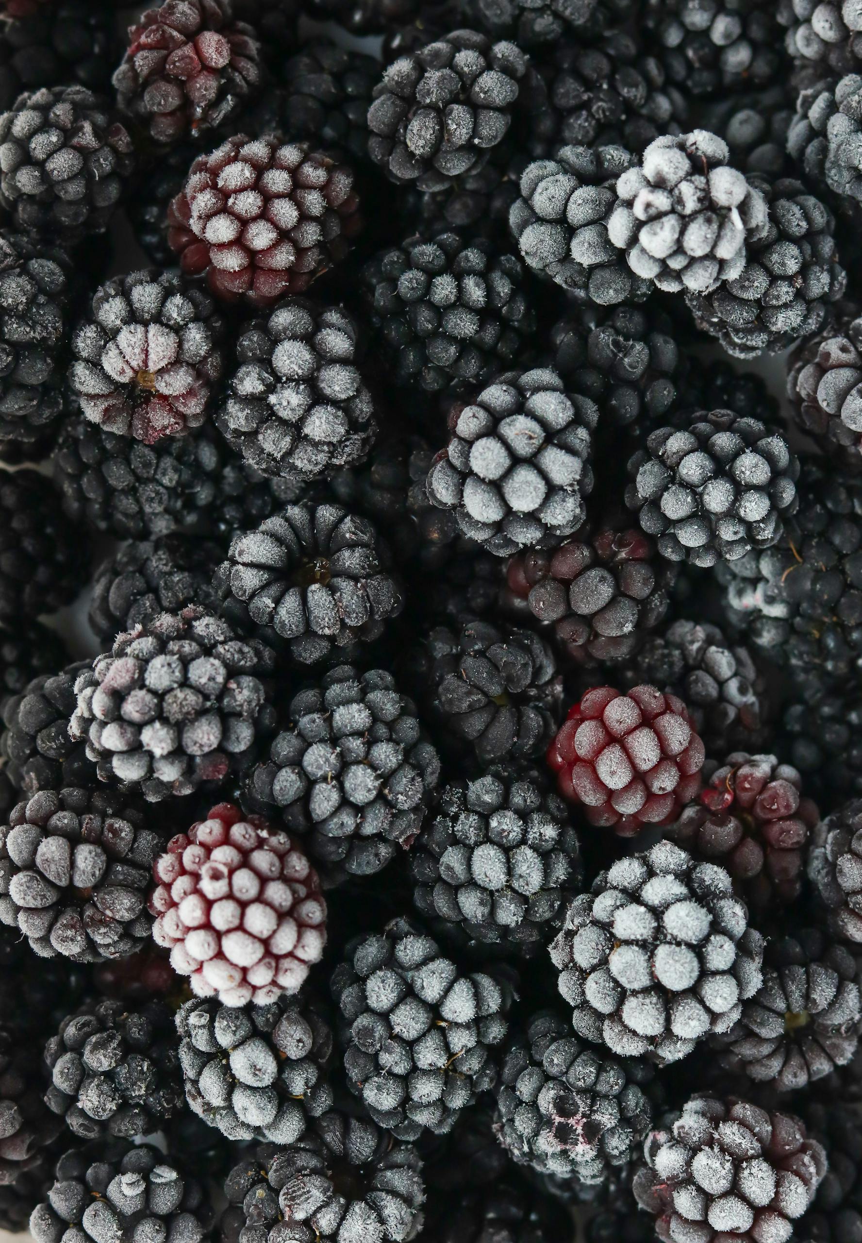 30 grams of fiber a day: Close-up of fresh frozen blackberries covered in hoarfrost, showcasing texture and freshness.