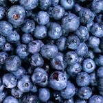 Close-up of fresh, juicy blueberries, showcasing their freshness and delicious appeal.