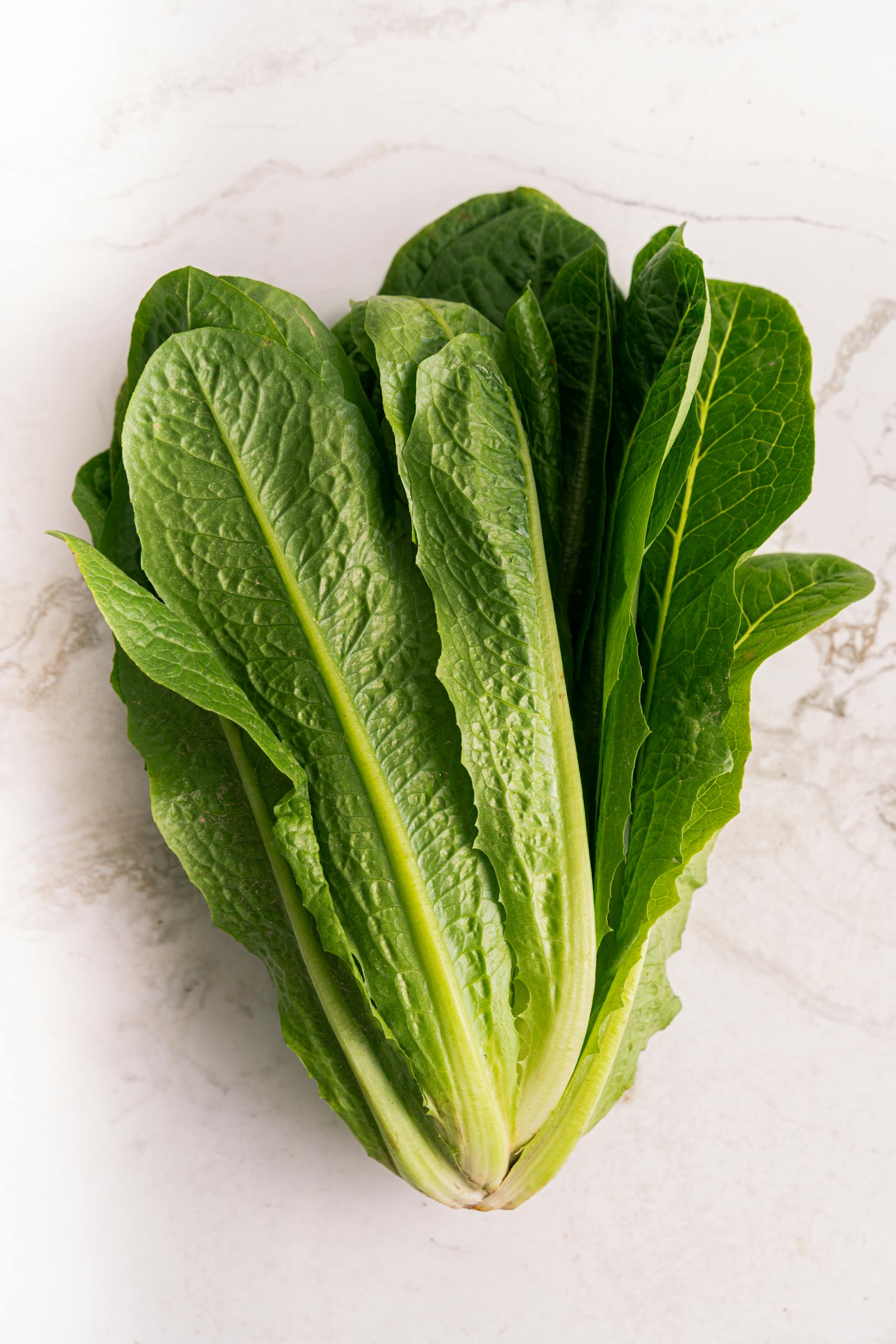 best foods for gut health: Close-up shot of vibrant green romaine lettuce leaves on a white marble surface.