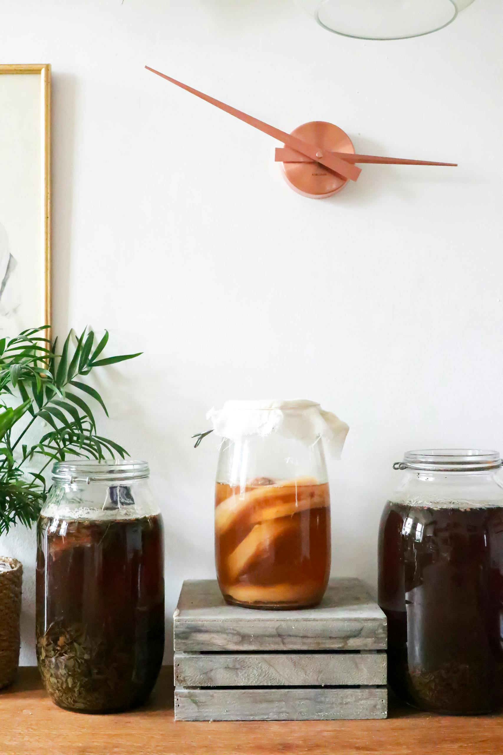 how to make kombucha: Glass jars with infused liqueurs with ingredients placed on wooden table near green plant near wall with decorations at home