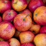 Vibrant close-up of fresh red and yellow apples, showcasing their vivid colors and natural texture.