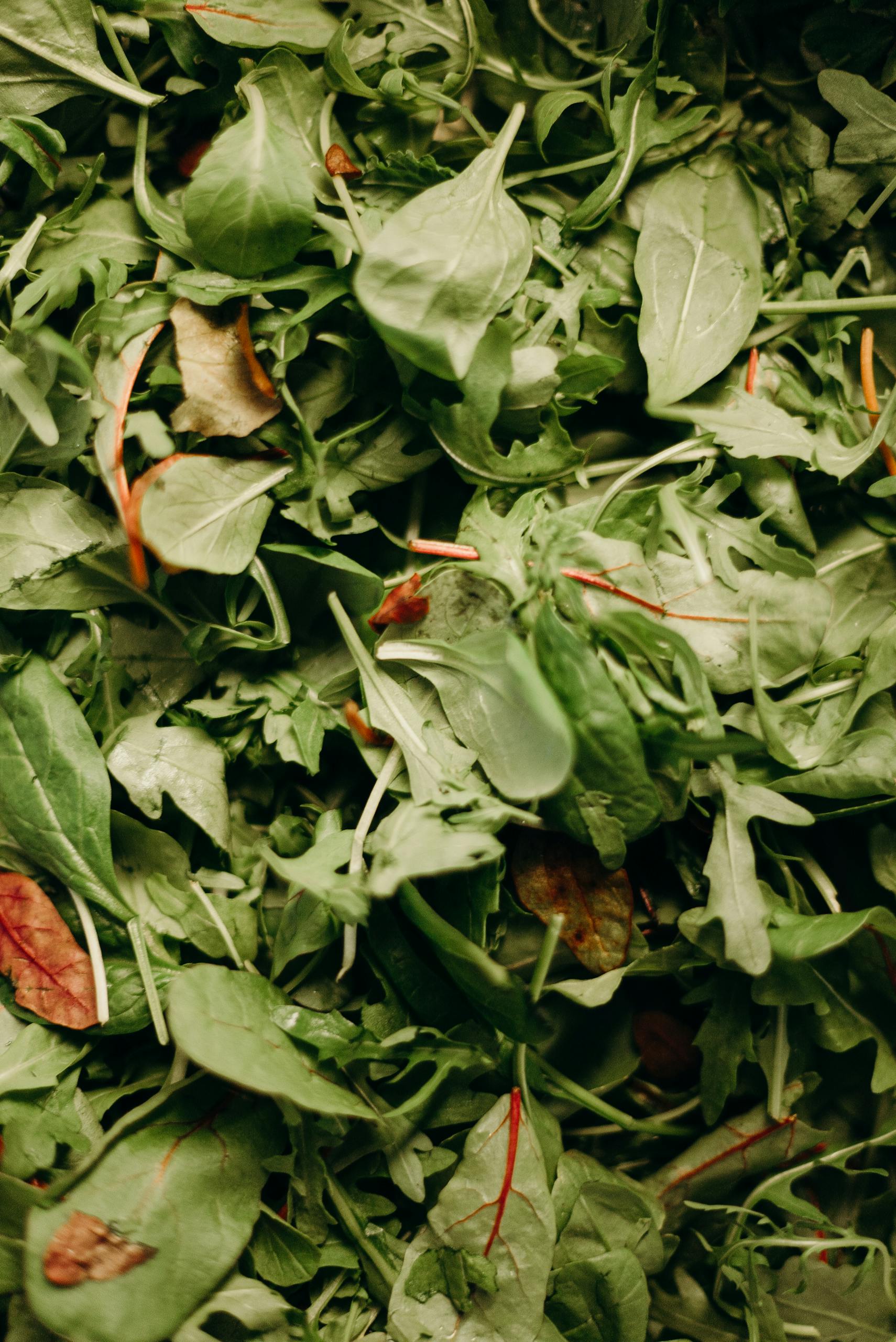 Healthiest Sweetgreen Orders: A vibrant close-up of fresh mixed greens showcasing their texture and freshness.