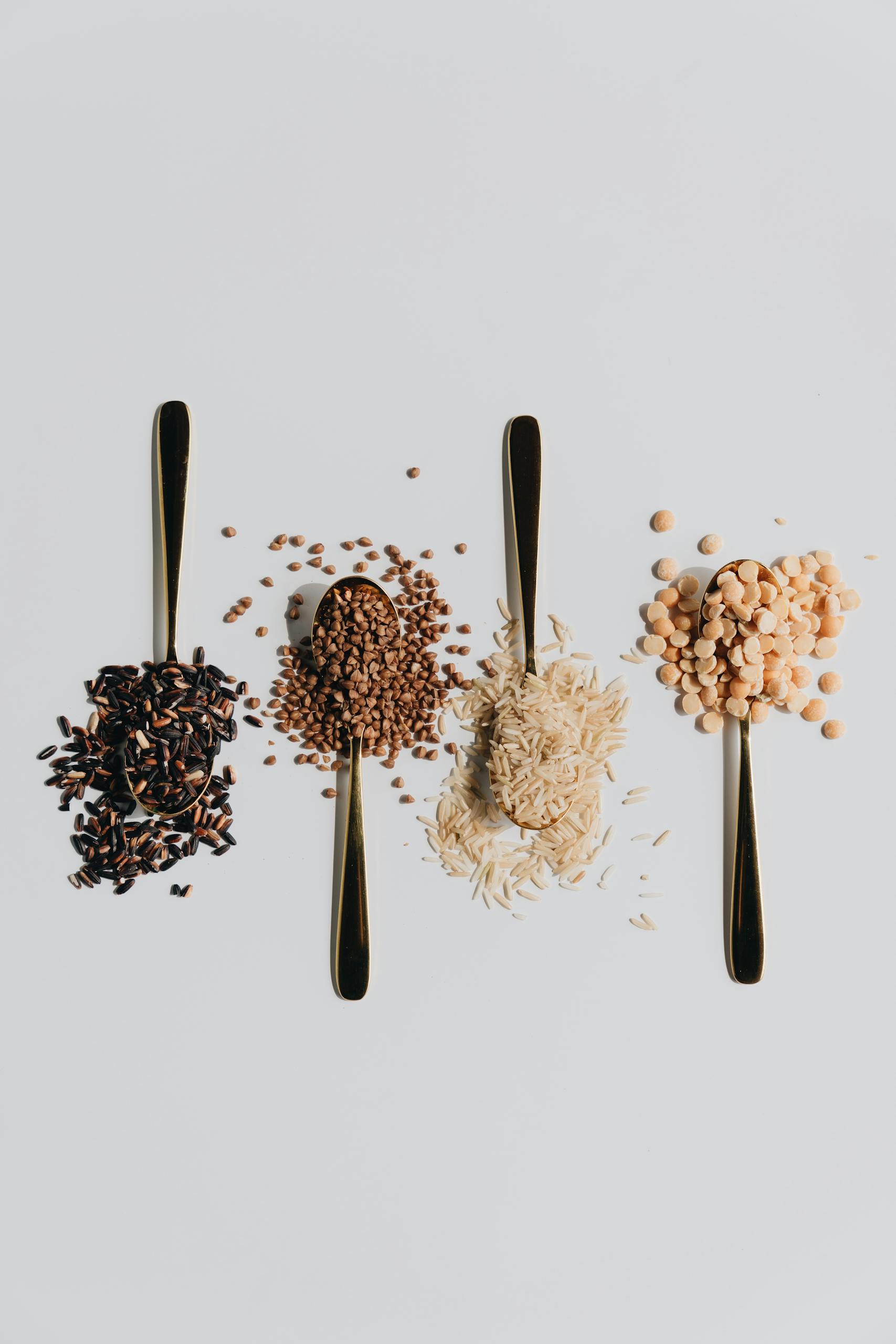 high-protein, high-fiber foods: Flat lay of various grains on spoons on a white background, artistic and minimal.