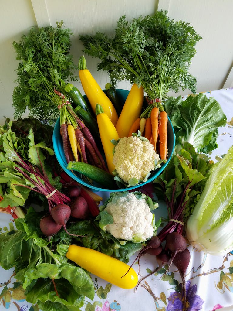 benefits of fiber: Vibrant assortment of fresh vegetables in a bowl, perfect for healthy meals.