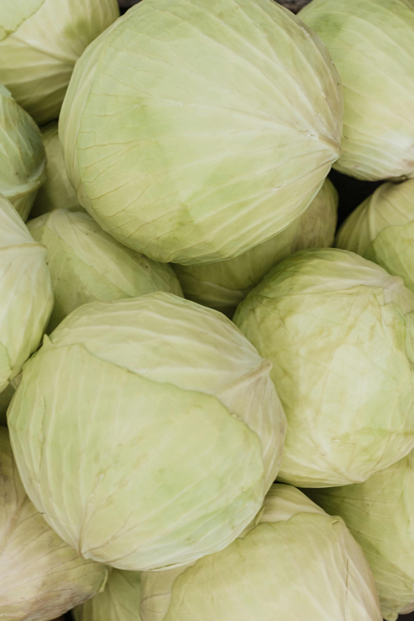 cabbage for gut health: A close-up of fresh, organic cabbages in a pile, perfect for healthy meals.