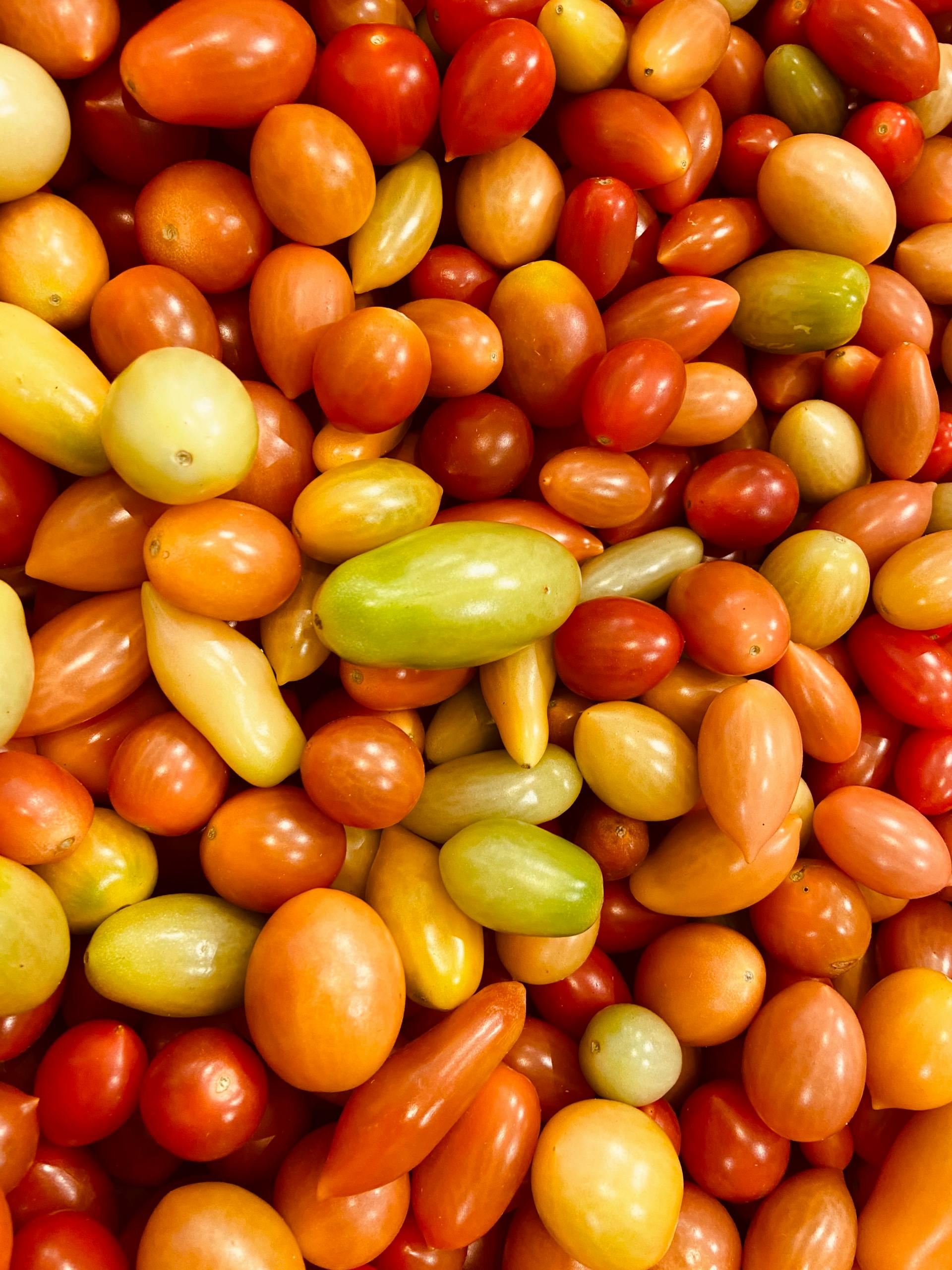 perimenopause nutrition: A colorful mix of fresh cherry tomatoes in various shades of red, orange, and yellow.