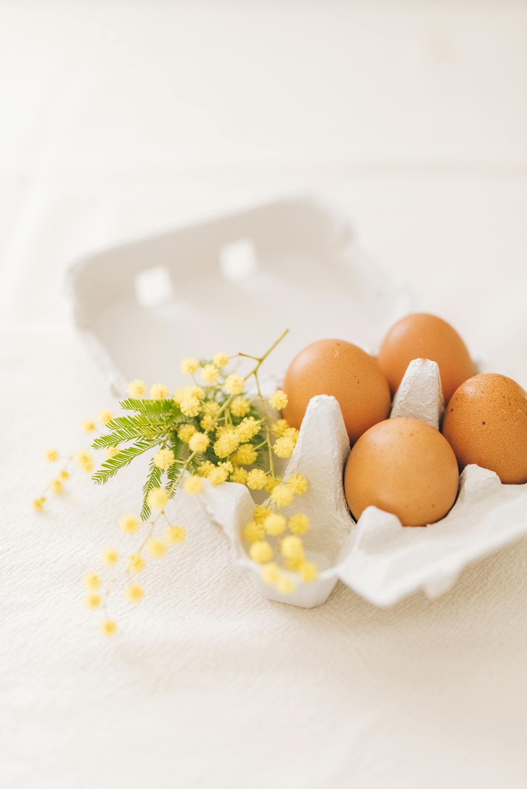 healthy breakfast ideas for busy mornings: A still life of brown eggs and yellow mimosa flowers in an egg carton, symbolizing spring.