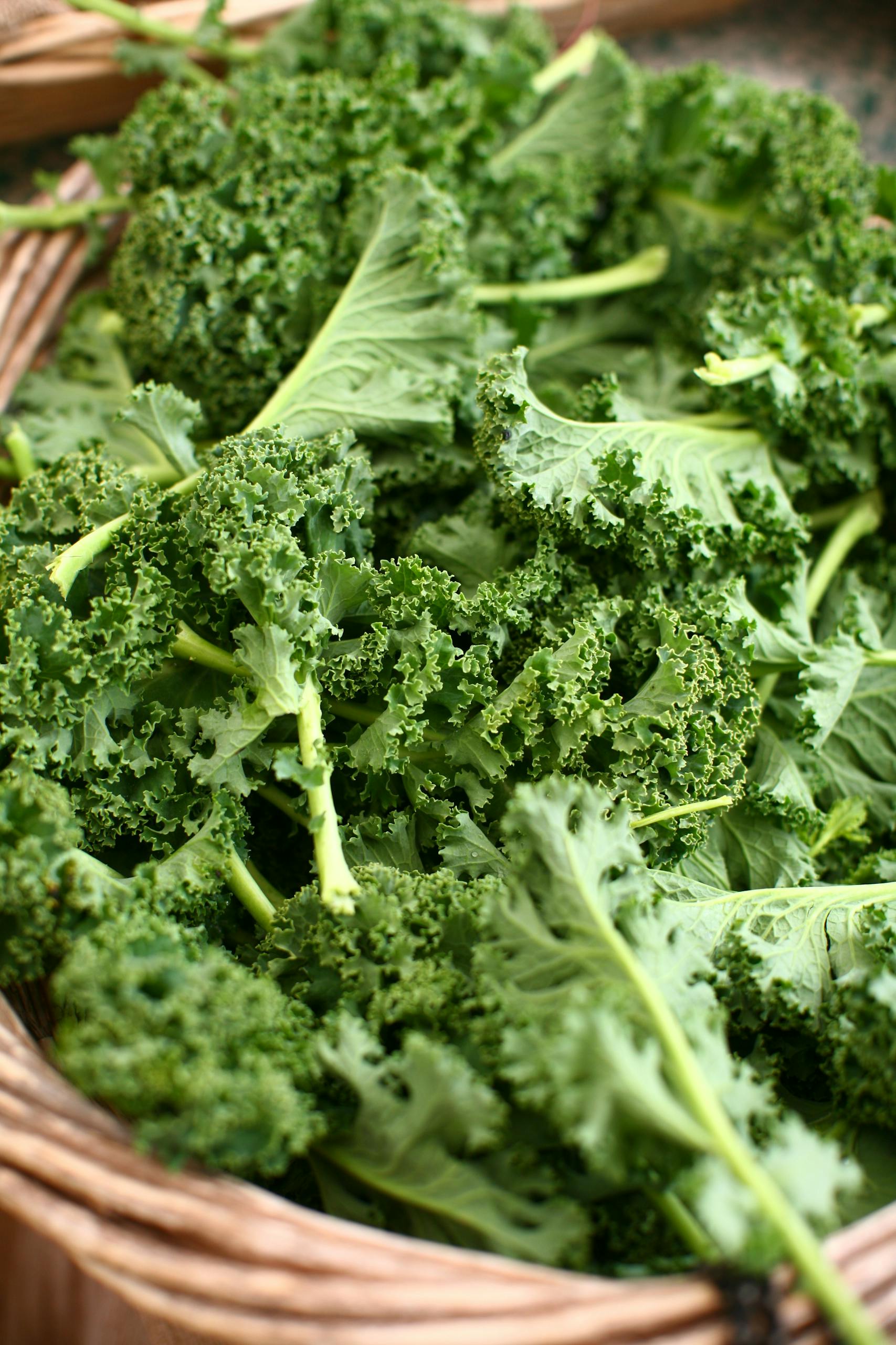 best foods for longevity: Close-up of fresh green kale leaves in a rustic basket, emphasizing health and nutrition.
