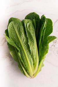 best foods for gut health: Close-up shot of vibrant green romaine lettuce leaves on a white marble surface.