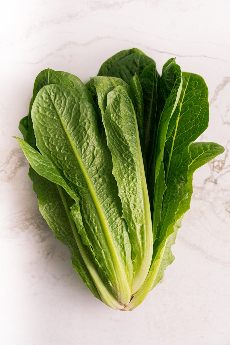 best foods for gut health: Close-up shot of vibrant green romaine lettuce leaves on a white marble surface.