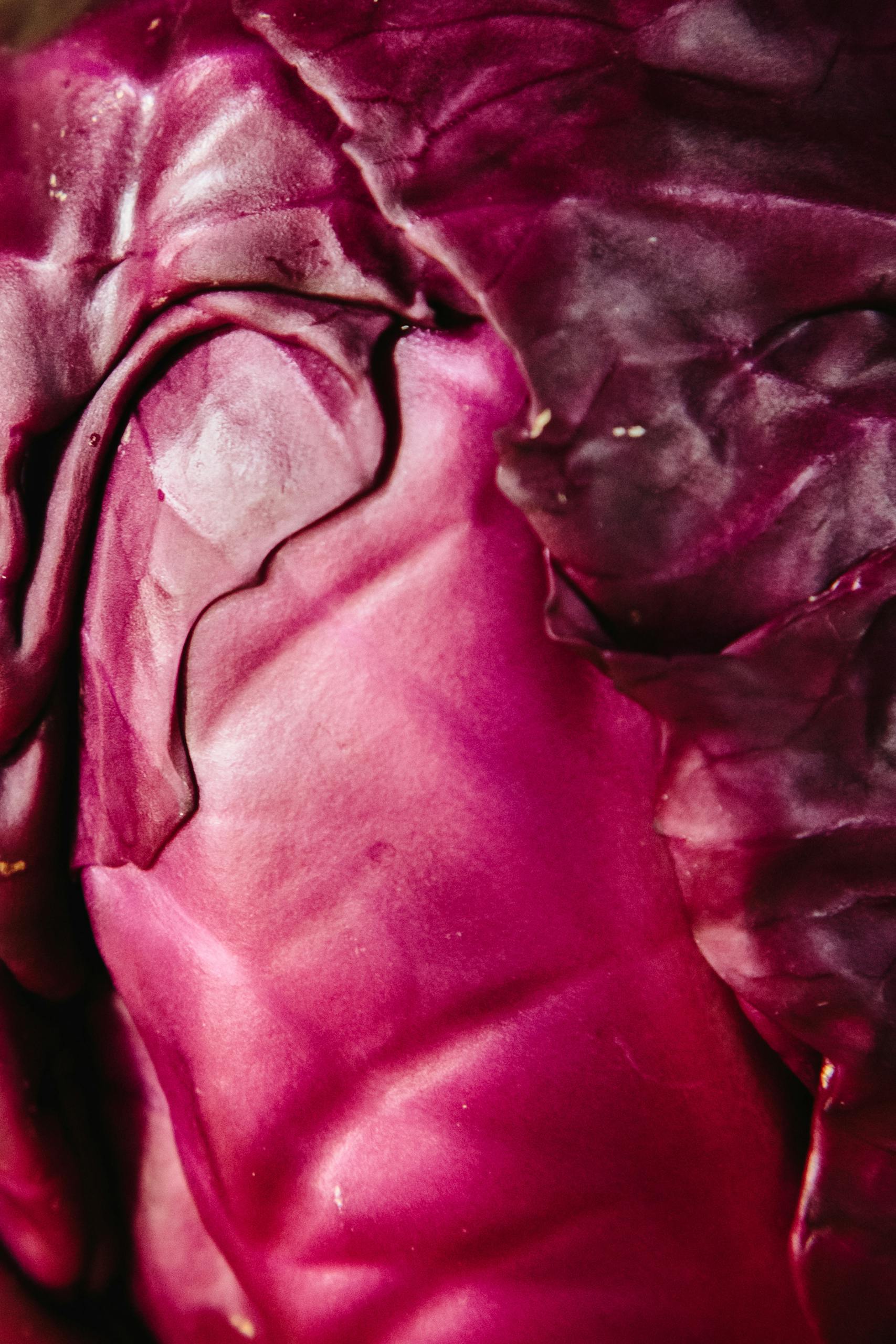 cabbage for gut health: Detailed close-up of a vibrant red cabbage showing its textured leaves. Perfect for healthy food themes.