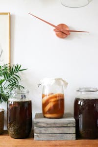how to make kombucha: Glass jars with infused liqueurs with ingredients placed on wooden table near green plant near wall with decorations at home