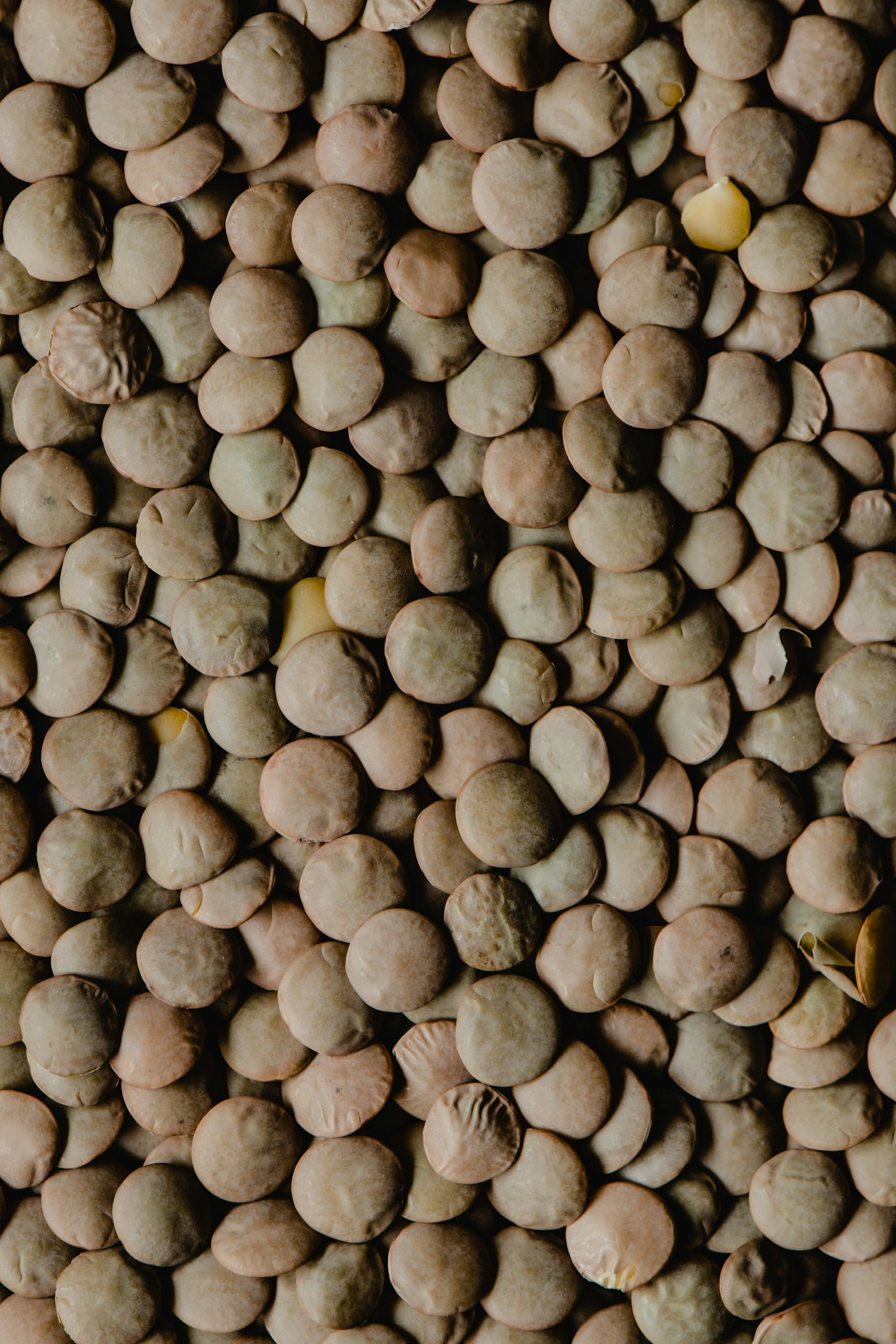 simple ways to increase calcium intake: High-resolution close-up image showcasing the texture of dried brown lentils in natural light.