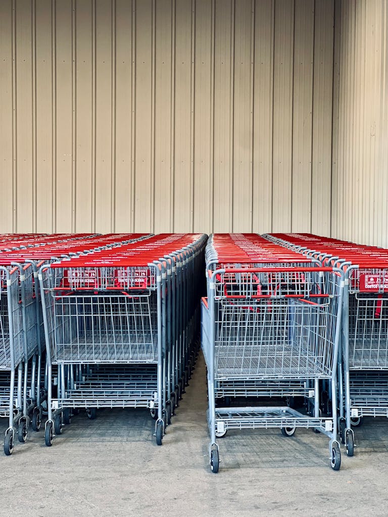 Healthiest Frozen Foods from Trader Joe's: Neatly arranged shopping carts lined up outside a retail store.