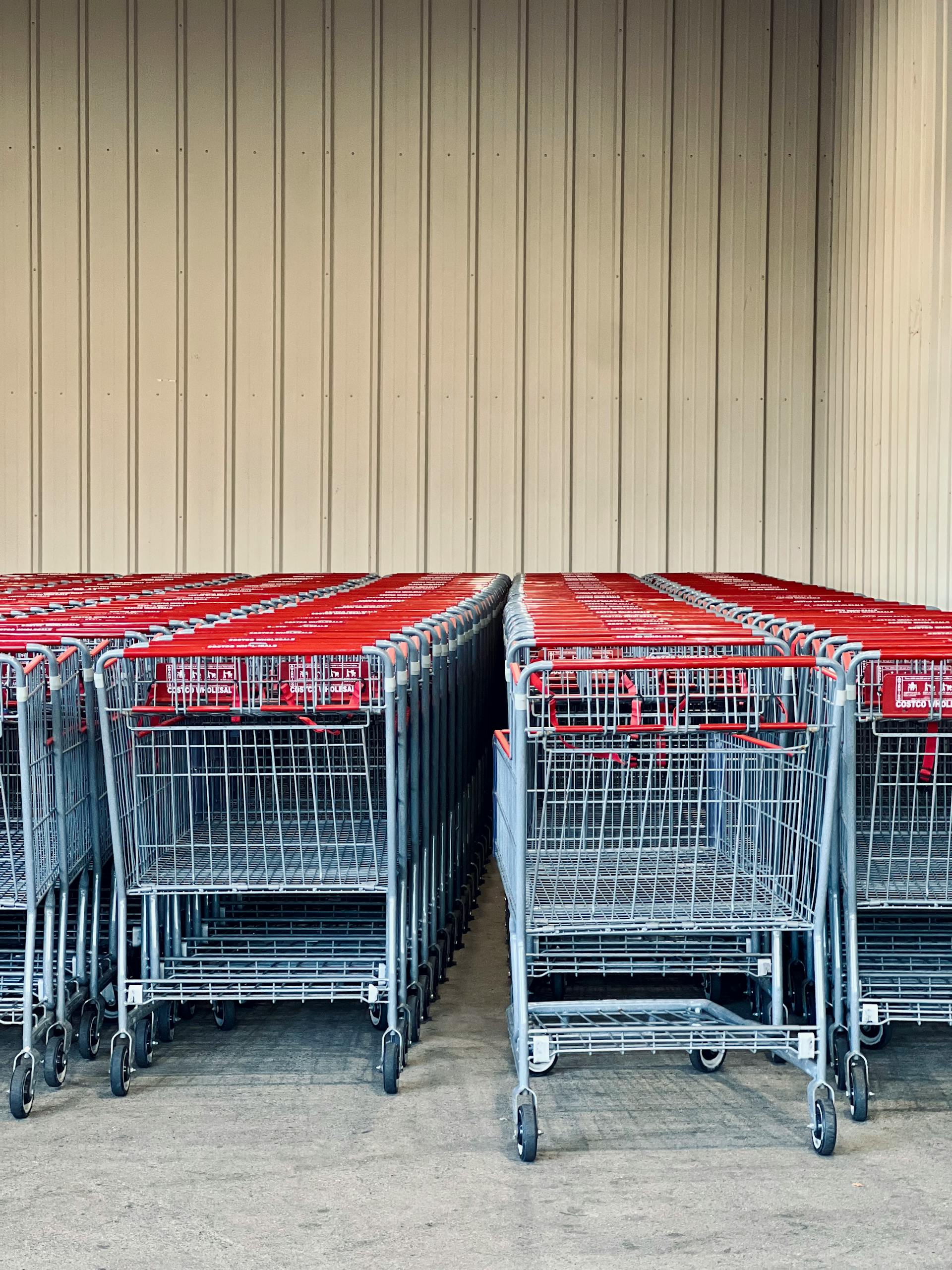 Healthiest Frozen Foods from Trader Joe's: Neatly arranged shopping carts lined up outside a retail store.