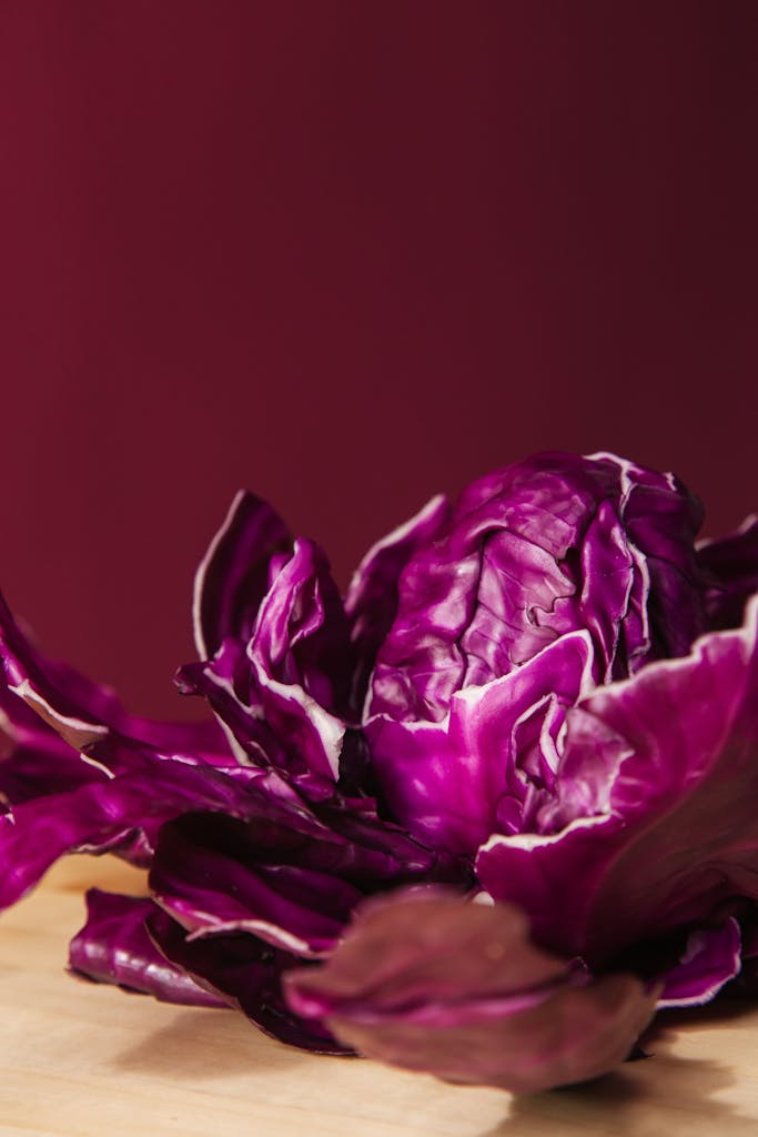 cabbage for gut health: Vibrant red cabbage with rich textures, perfect for healthy food concepts and culinary presentations.