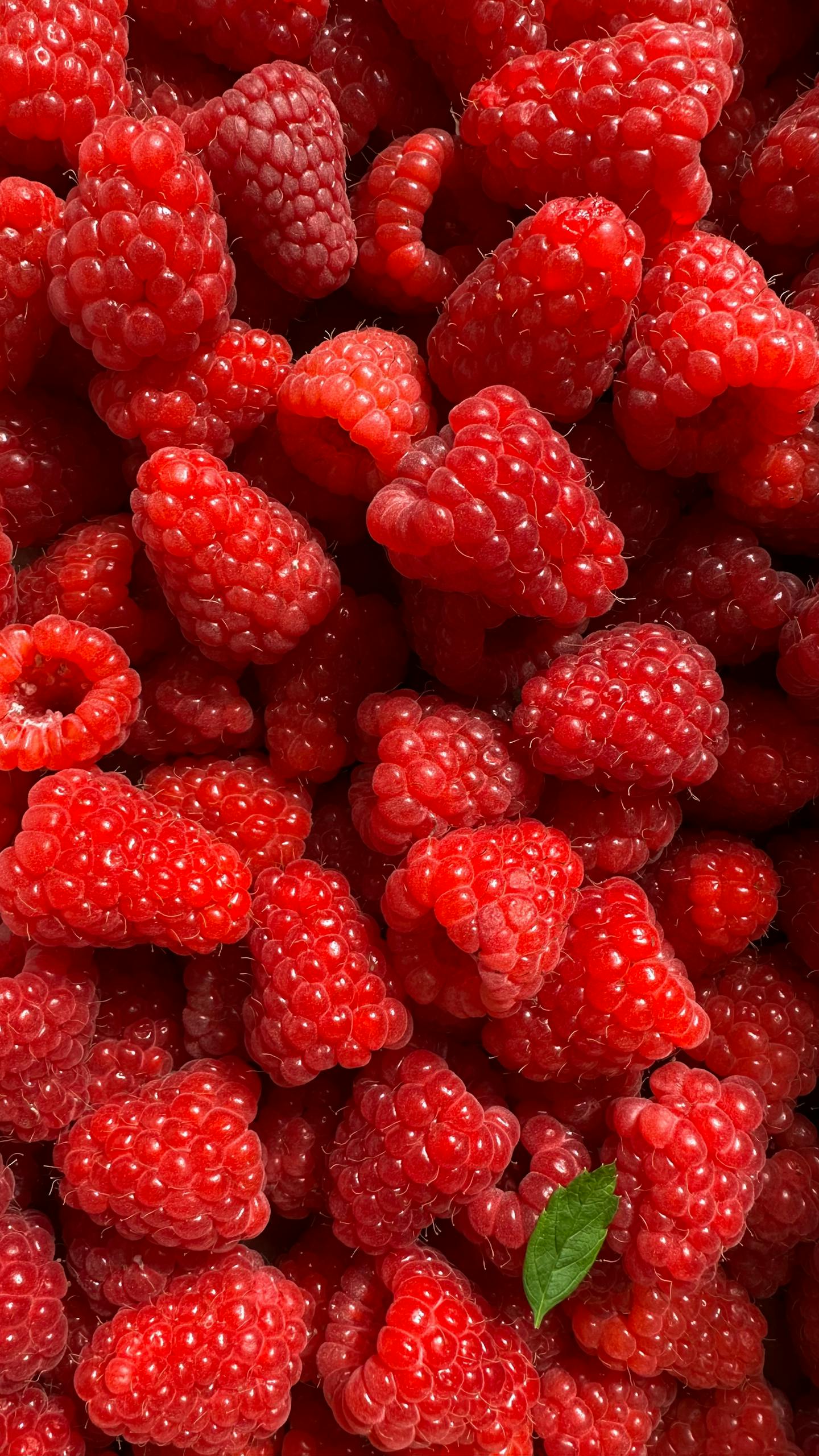 GLP-1 diet: Vibrant red raspberries with a single green leaf, highlighting summer freshness.