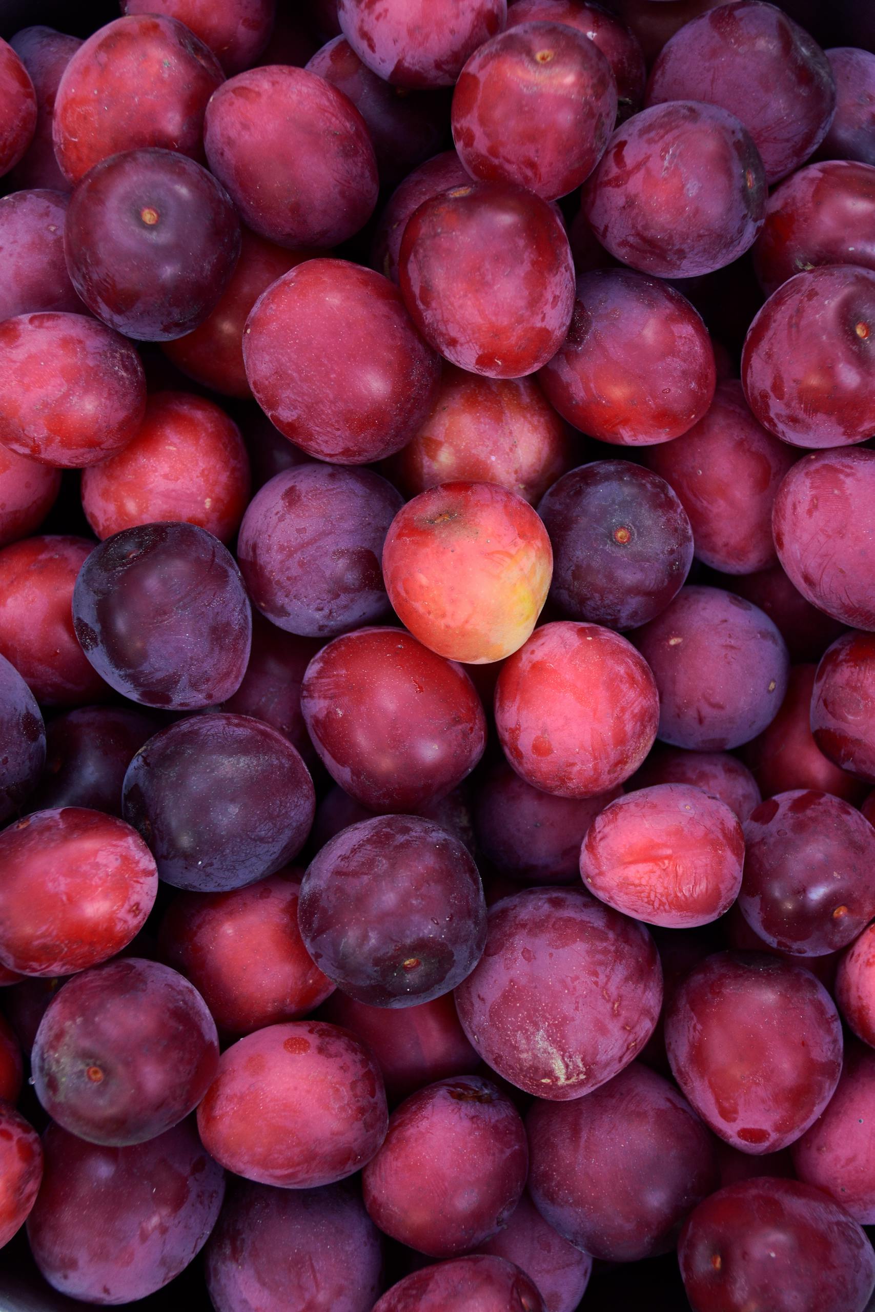 Brain-Healthy Grocery List: A vibrant collection of fresh purple plums showcasing natural textures and colors.
