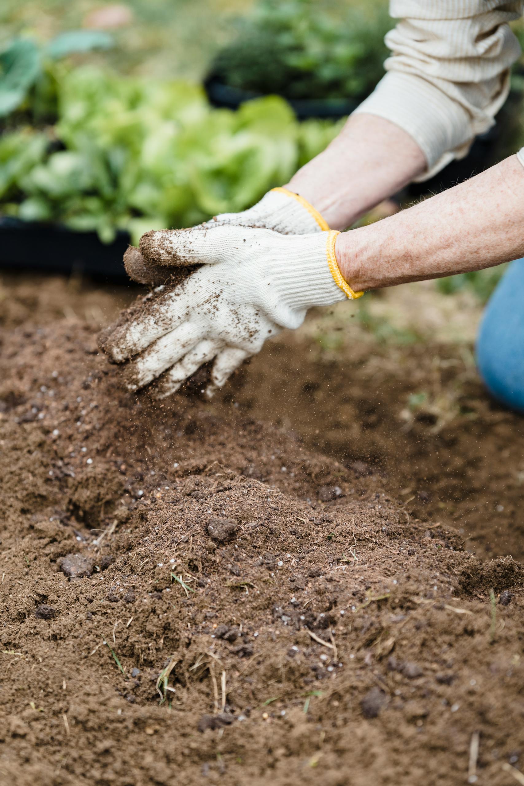 how to compost: Close-up of a gardener's hands in gloves preparing soil for planting outdoors.
