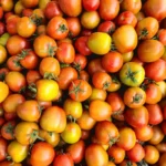 A vibrant pile of fresh, ripe tomatoes showcasing their vivid colors and natural texture.