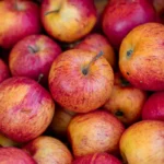 Vibrant close-up of fresh red and yellow apples, showcasing their vivid colors and natural texture.