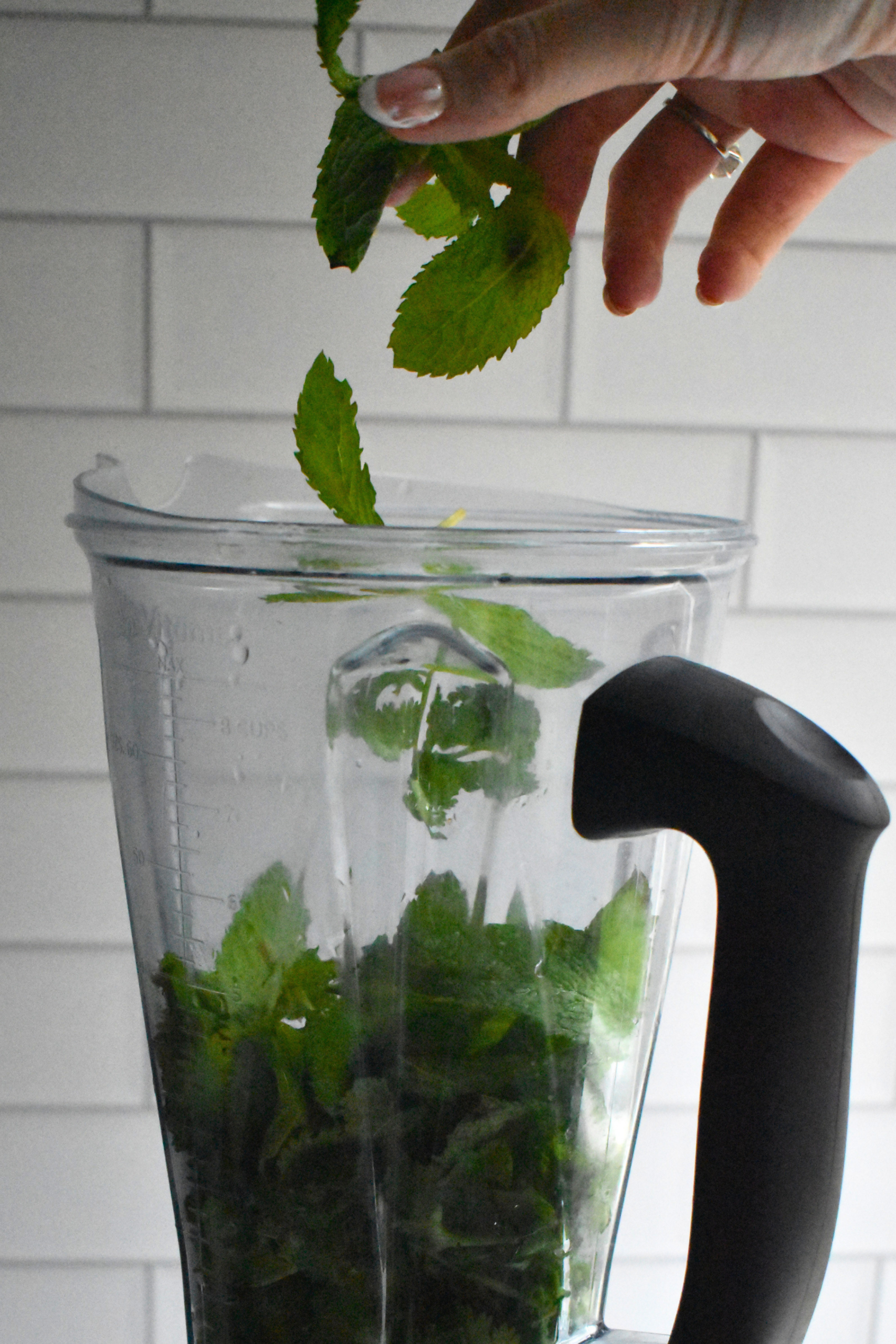 Fresh Cilantro Mint Chutney