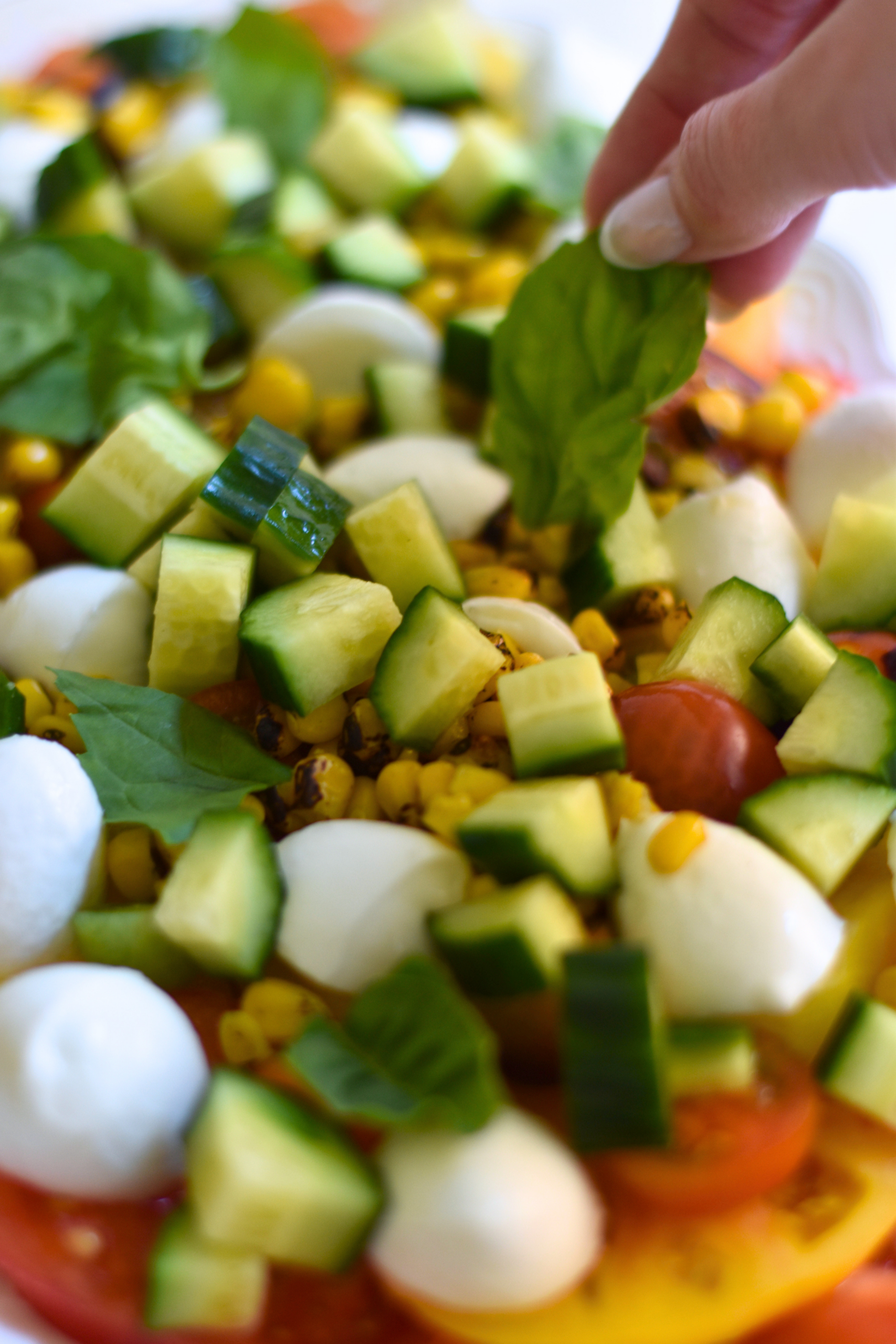 Heirloom Tomato Burrata Salad