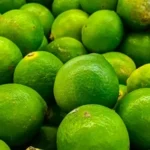 Nutrition Basics