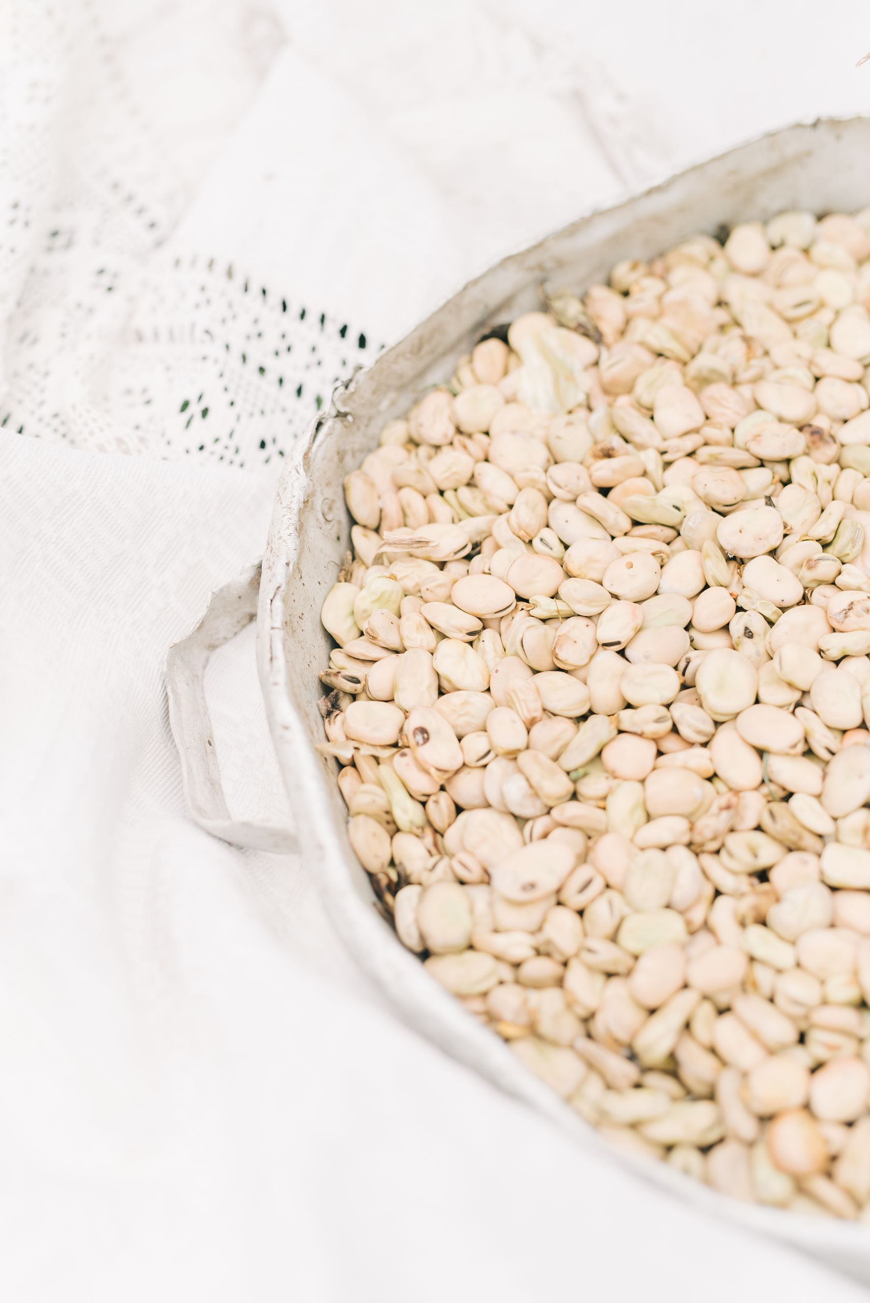 Easy Protein Swaps for Weight Loss: A close-up view of white beans in a rustic bowl, perfect for culinary and agricultural themes.