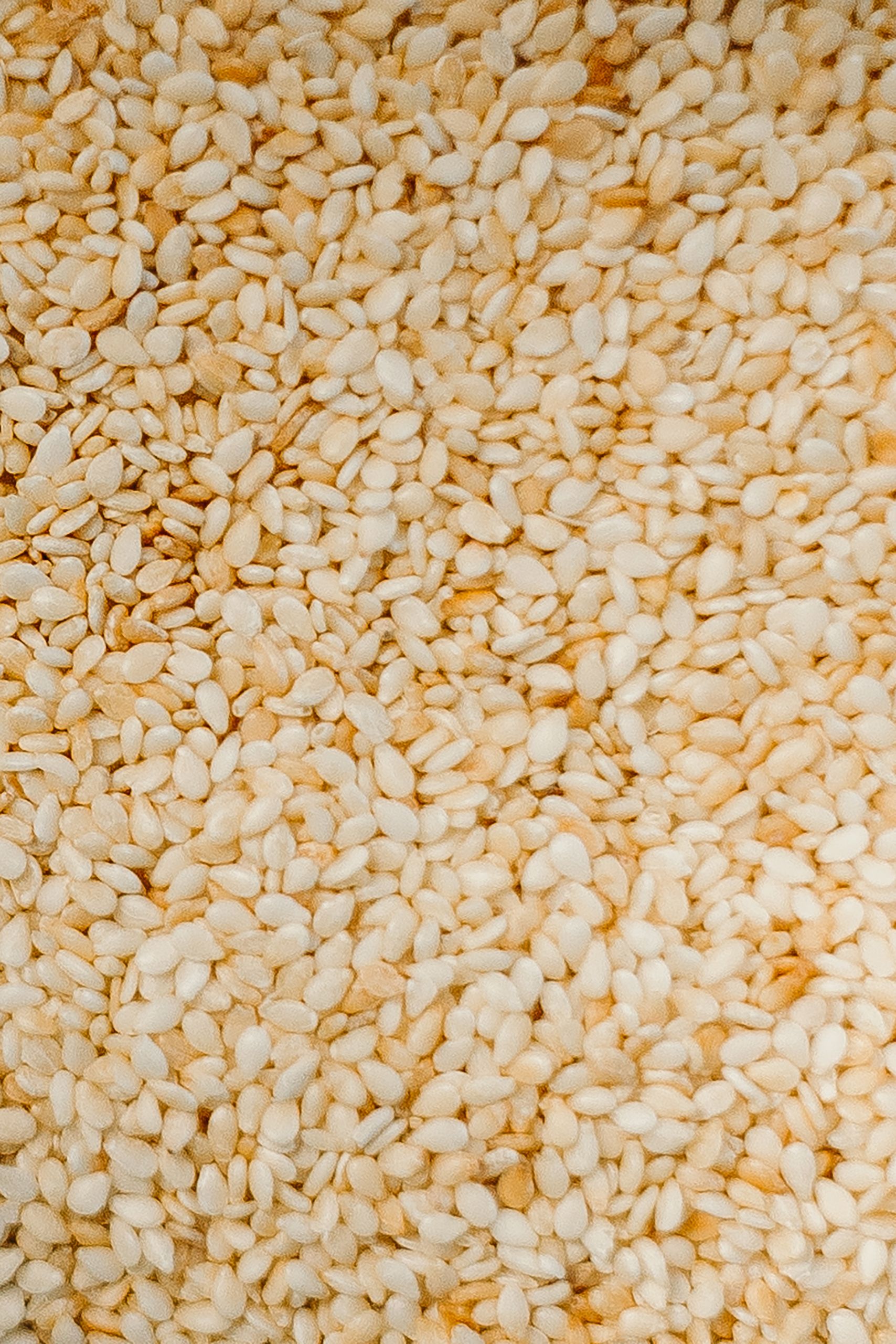 How to Introduce Allergens to Baby: A detailed close-up shot of fresh, uncooked sesame seeds showcasing texture and natural color.
