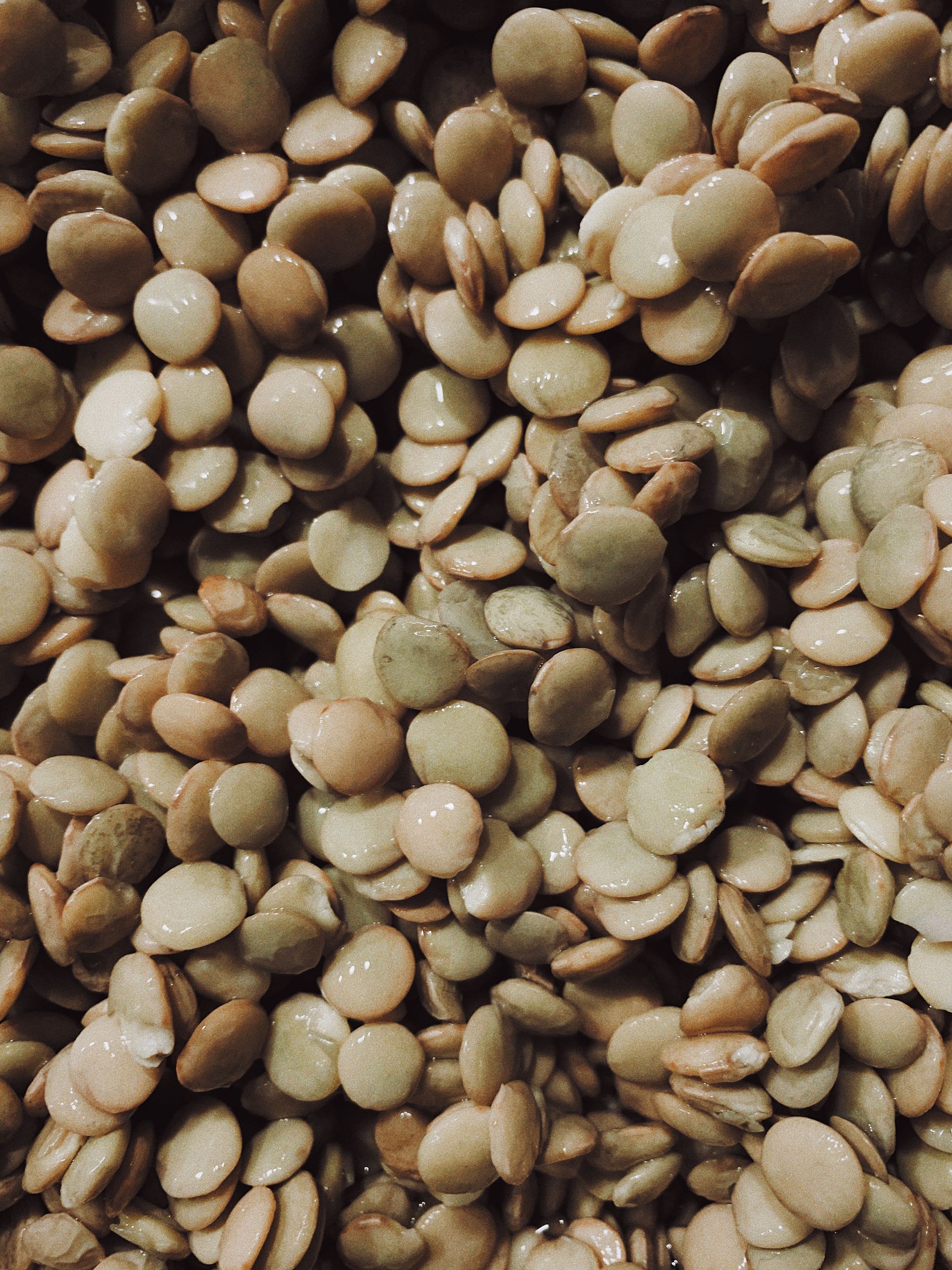 Easy Protein Swaps for Weight Loss: A textured close-up photo of wet, raw brown lentils, ideal for food and ingredient imagery.