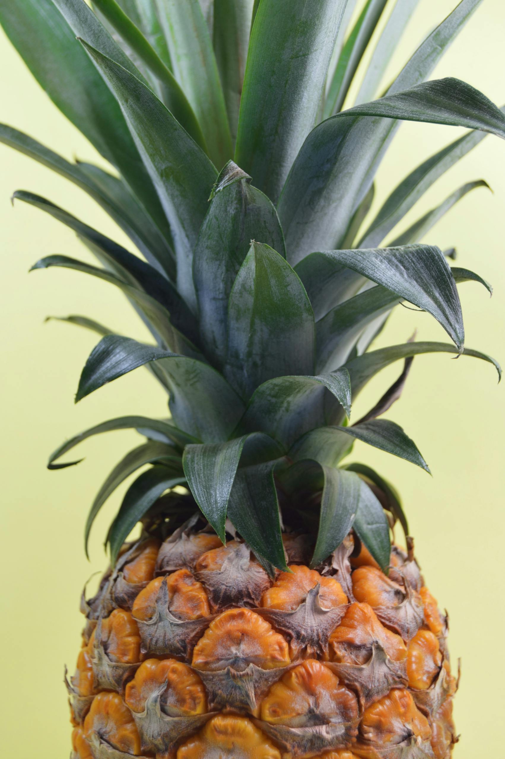 Vitamin C for immunity and colds: A vibrant close-up of a ripe pineapple showcasing its texture and leaves.