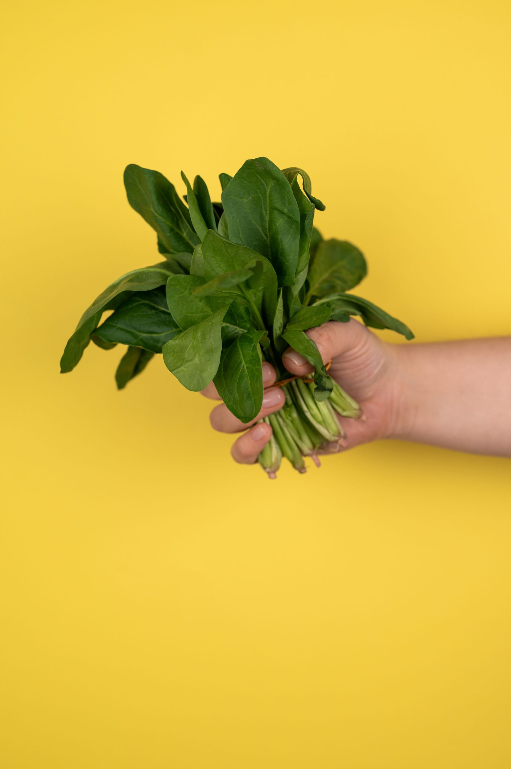 What Is the MIND Diet: Crop anonymous person with bunch of fresh ripe green sorrel against yellow background