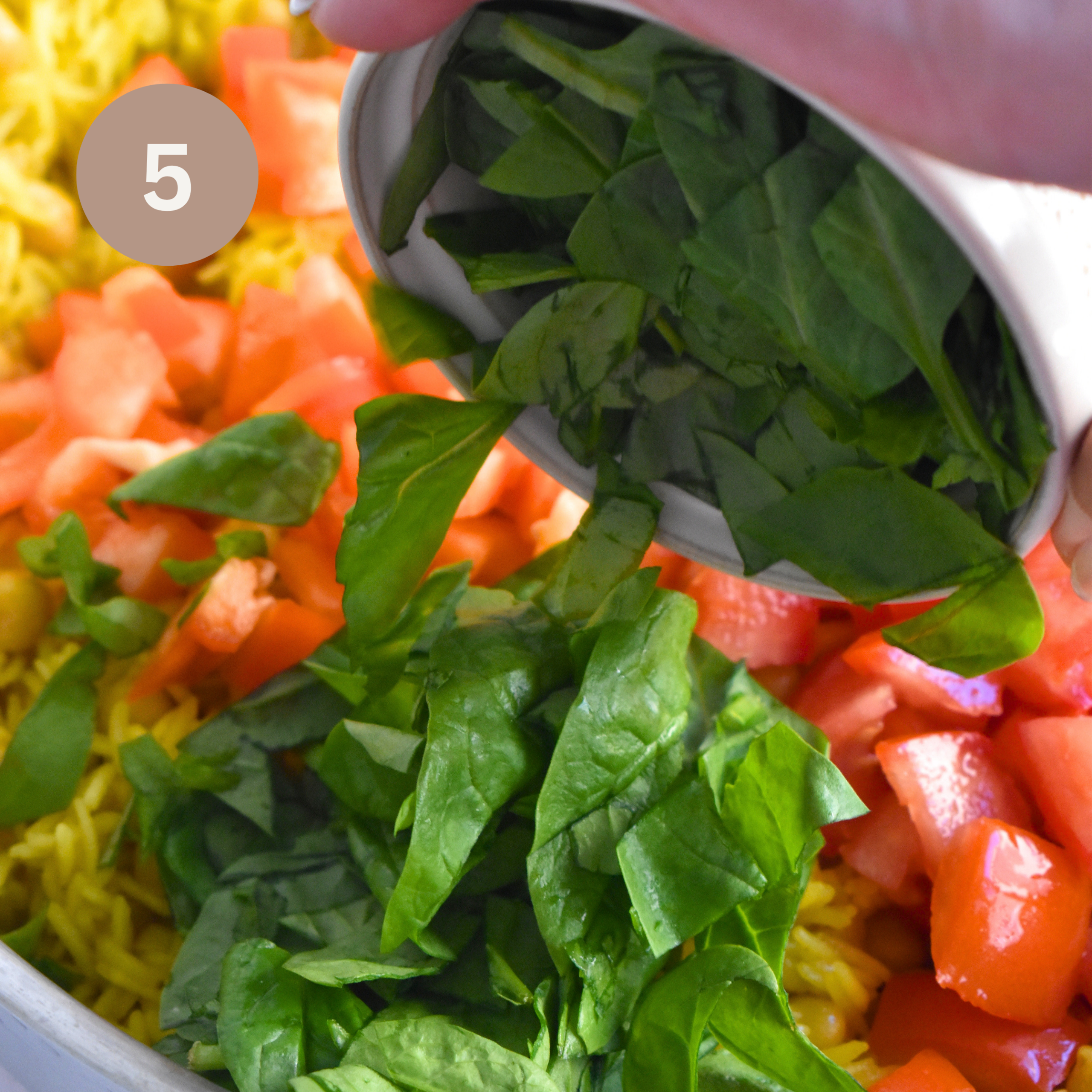 Lemon Veggie Rice