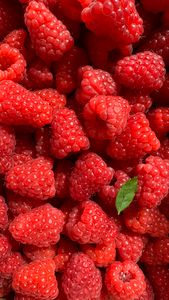 benefits of raspberries: Vibrant close-up of ripe raspberries showcasing natural texture and color.