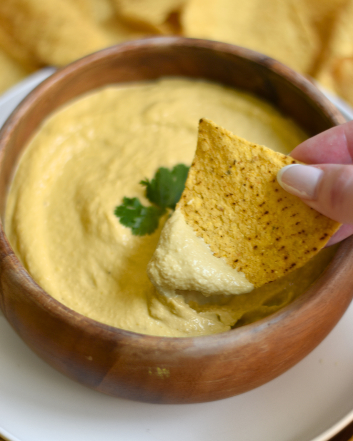 Vegan Cashew Queso