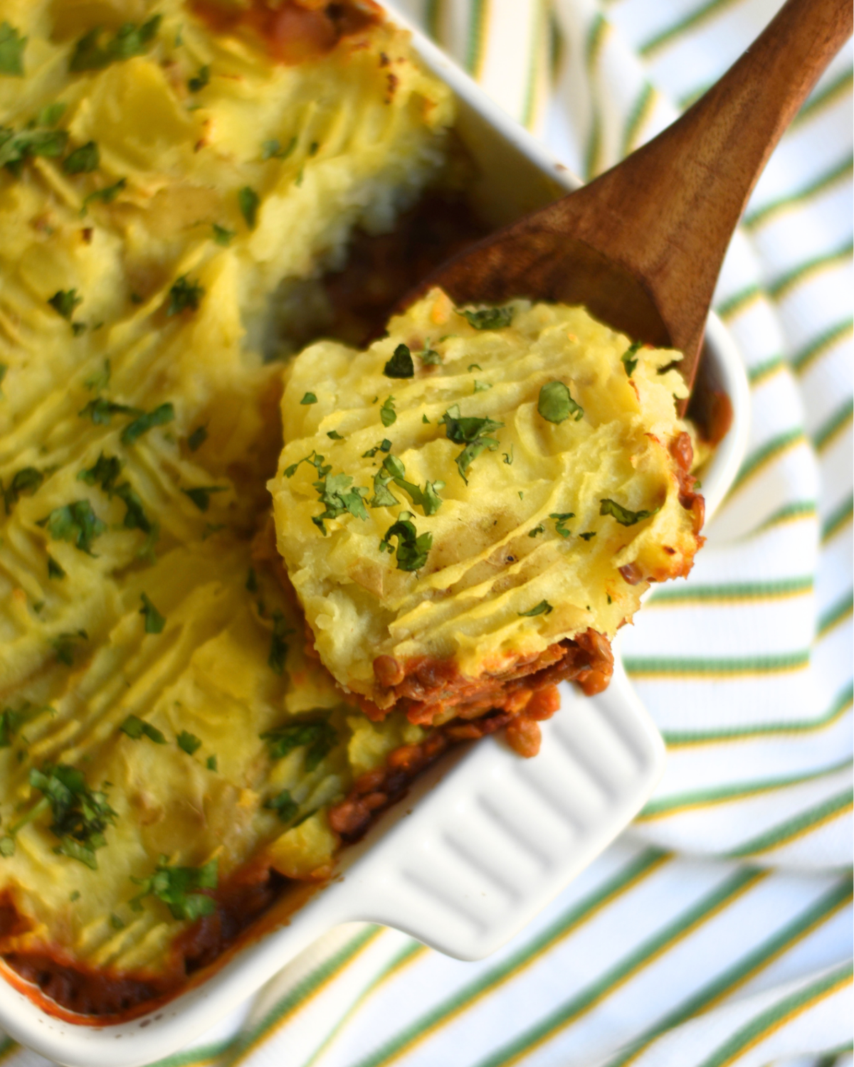 Lentil Tikka Masala Vegan Shepherd's Pie